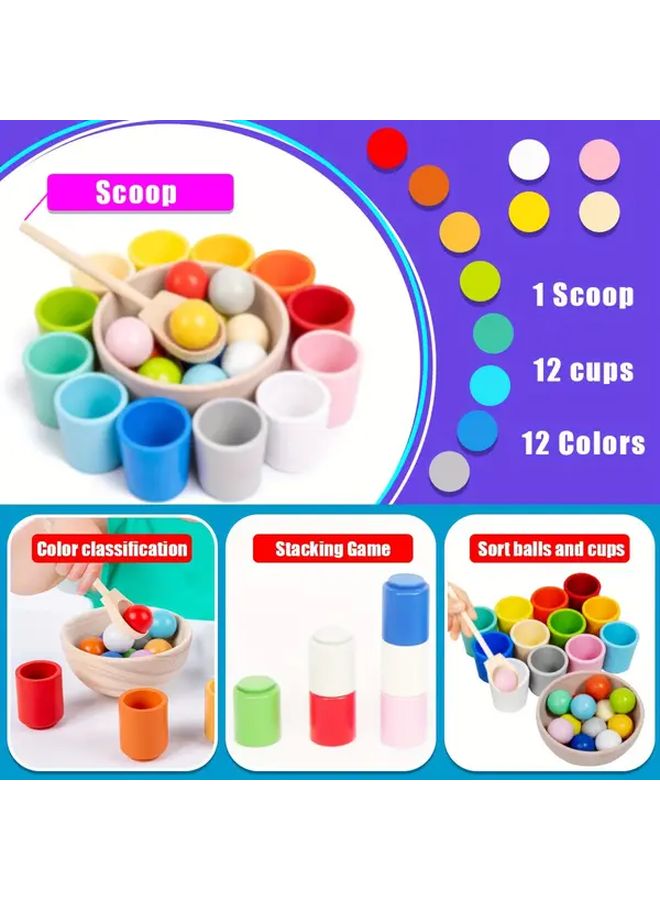 Rainbow Color Sorting Game 12 Colors Balls And Cup Fine Motor Learning Toys - Image 5